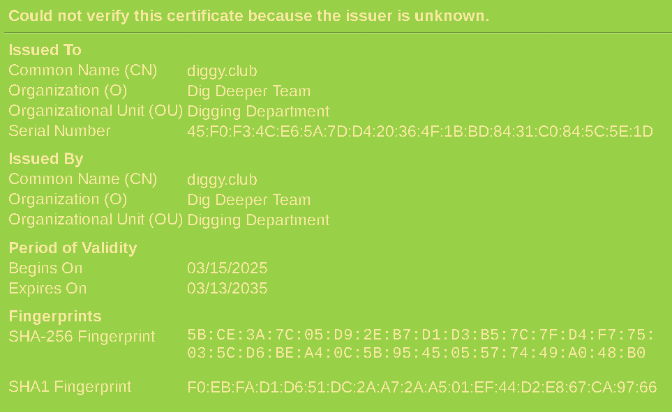 Showing the 'View certificate' window in Pale Moon for my diggy.club self-signed cert, with 'Dig Deeper Team' listed as the issuing organization